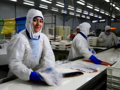 La participación laboral femenina en la industria del salmón de la Región de Los Lagos, un nuevo desafío en tiempos de pandemia
