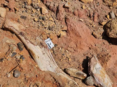 La Patagonia hace 75 millones de años: los dinosaurios paseaban entre las dunas
