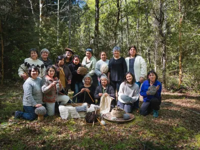 Lanzan colección de tejidos inspirada en la biodiversidad del Parque Nacional Alerce Andino