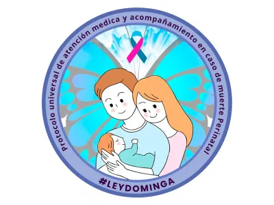 Ley Dominga avanza a paso firme en el Senado