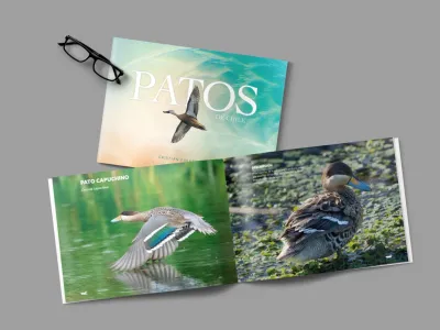Librería Mac-Kay: Conversatorio en torno al libro "Patos de Chile" junto al autor Cristian Fuentes León