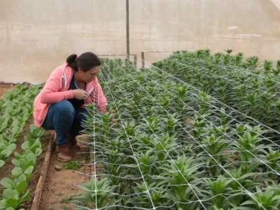 Llaman a jóvenes del agro a innovar desde sus casas