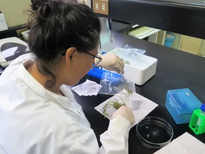 Llaman a participar con proyectos de innovación para el agro