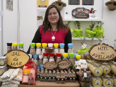 Llaman a postular a la Expo Feria Mujeres Emprendedoras Indígenas 2018