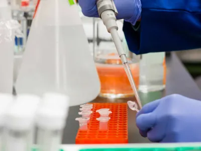 Macrozona Sur se adjudicó 78 proyectos de investigación Fondecyt Regular 2024