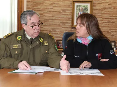 Más de Doscientas detenciones en ronda masiva en Región de Los Lagos