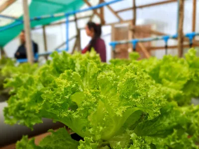 Ministerio de Agricultura lanzó primer concurso de riego sólo para mujeres