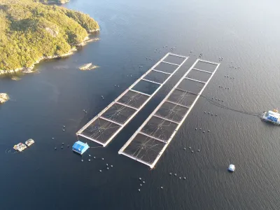 MOWI Chile Anunció Que Recurrirá a Corte Suprema y Reitera Inexistencia de Daño Ambiental Irreparable