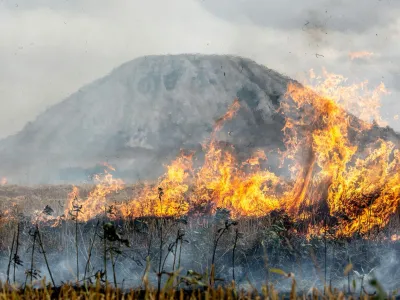 Municipio de Puerto Varas habilitó puntos de recolección para apoyar a damnificados por incendios forestales en la octava región