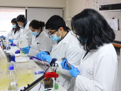 Núcleo Milenio MASH aseguró tres años más de financiamiento para investigación sobre macroalgas