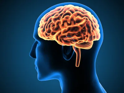 OMS busca erradicar la Meningitis para 2030