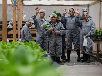 [OPINIÓN] Adaptaciones laborales para personas con discapacidad en tiempos de COVID-19 
