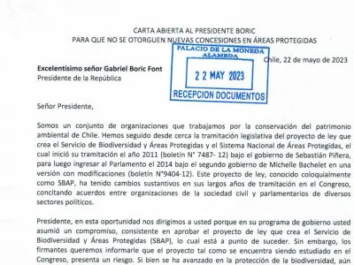 Organizaciones envían carta al Presidente Boric para poner fin a salmonicultura en áreas protegidas