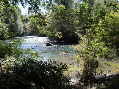 Parques tendrán entrada liberada este fin de semana por celebración del “Día nacional del Medio Ambiente”