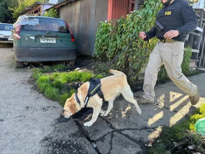 PDI detiene a 5 personas por microtráfico de drogas en Puerto Varas