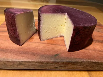 Producto gourmet: Novedosa variedad de queso sureño nace al alero del PTI lechero 