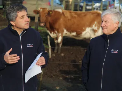 Productores lecheros de Fresia y Los Muermos muestran positivo crecimiento gracias a la asesoría técnica y comercial entregada por Indap