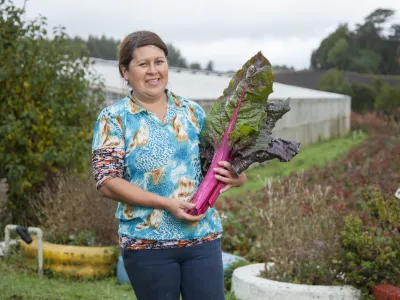 Productores orgánicos podrán exportar a Brasil