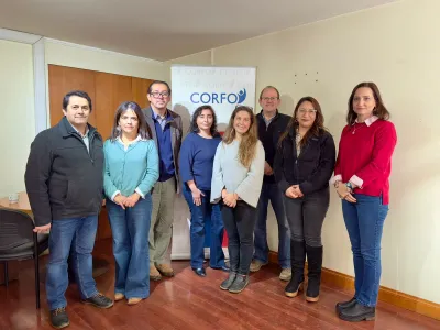 Programa Territorial Integrado de la Carne Bovina en Los Lagos impulsa al sector mediante alianza interdisciplinaria