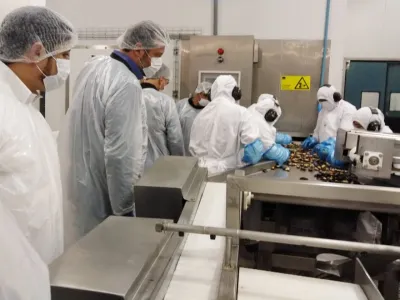 Proyectan la mitilicultura como la industria del  futuro de Chile
