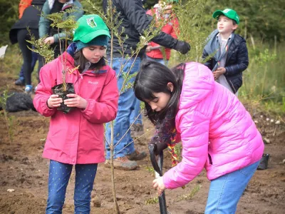 Proyecto a una cuadra de la costanera de Puerto Varas: Quebrada Parque cobra vida como  iniciativa medioambiental público-privada