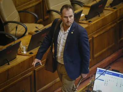 Proyecto del diputado Harry Jürgensen que regula uso de la leña pasa al Senado
