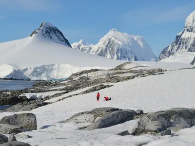 Realizan análisis sin precedentes de algas de nieve antárticas