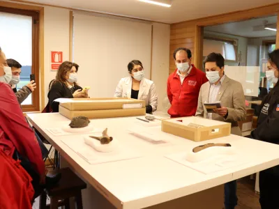 Retorna la Colección Arqueológica Monte Verde a Puerto Montt