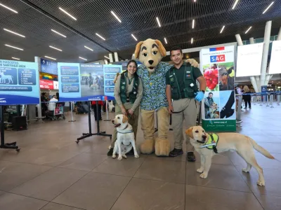 SAG lanzó chatbot con inteligencia artificial para  orientar a quienes salen con sus mascotas fuera de Chile