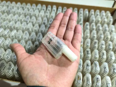 SAG Los Lagos certifica exportación: Hemisferio Norte será el nuevo hogar de abejas reinas producidas en el sur de Chile