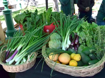 SAG promueve el consumo de productos orgánicos entre estudiantes