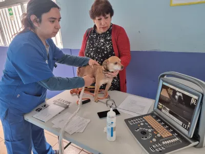 Santo Tomás Puerto Montt realizó masivo Operativo Social en La Vara