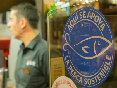 Se acerca el fin del período de postulaciones para obtener el Sello Azul de Sernapesca