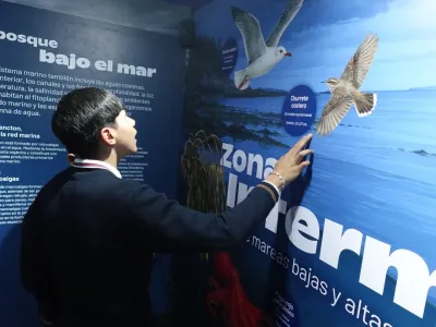 Se inauguró Sala Inmersiva Biodiversidad Costero-Marina de la región de Los Lagos