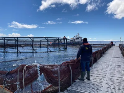Se publicó la declaración de prealerta acuícola entre las regiones de Biobío y Magallanes