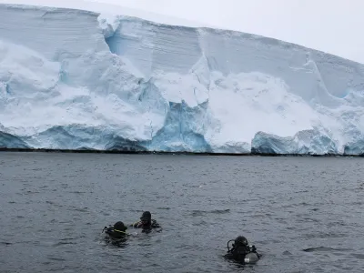 Se refuerzan trabajos para detectar posibles especies invasoras en Antártica
