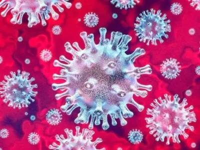 Sepa todo del Coronavirus: Qué es, cómo muta y cómo traspasó de animal a humano