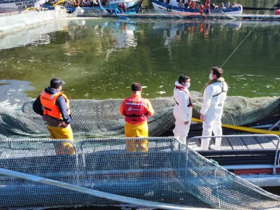 Sernapesca mantiene fiscalización de contingencia FAN en Los Lagos