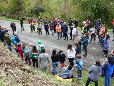 Simulacro de remoción en masa se realizó exitosamente en la Región de Los Lagos