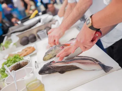 Sindicato de buzos, algueros y recolectores de Los Muermos participará en Festival Latinoamericano de Cocina Ñam