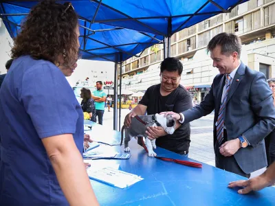 Subdere realiza llamado a municipios para postular al Plan de Esterilización Responsabilidad Compartida