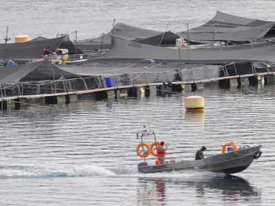 Subpesca impone mayores exigencias a jaulas salmoneras para evitar hundimientos y escape de peces