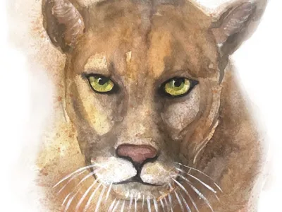 Te invitamos a celebrar el Día Internacional del Puma leyendo la obra de Alejandra Doepking