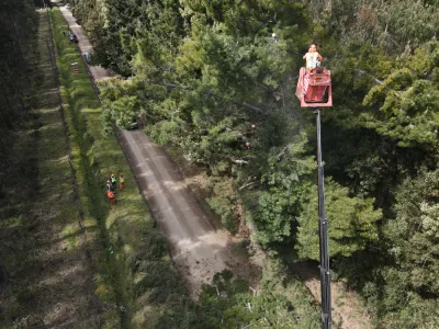 Trabajador de Empresa Contratista de Crell falleció mientras realizaba labores de mantenimiento en Fresia