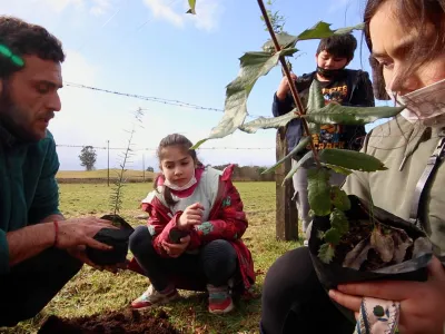 Transelec impulsa programa de arborización junto a  comunidades en la región de Los Lagos