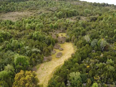 Tres nuevos santuarios de la naturaleza conformarán la “Red de Turberas de Chiloé”