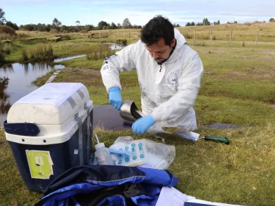 Tribunal Ambiental de Valdivia rechaza demanda por daño ambiental en sitio arqueológico Monte Verde