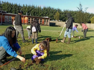 UACh planta árboles nativos como segunda actividad de Vinculación con el Medio con Municipalidad de Fresia