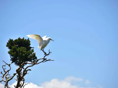 UACh Puerto Montt refuerza su compromiso ambiental con la protección del Santuario Isla Kaiküé-Lagartija