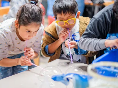 Vacaciones de invierno 2024: Fundación Mustakis invita a niñas, niños y jóvenes a participar de talleres en su plataforma virtual